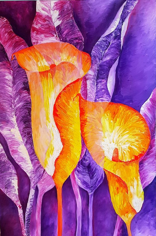 Calla Lilies