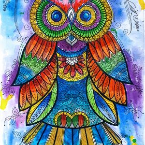 The Enchanted  Owl