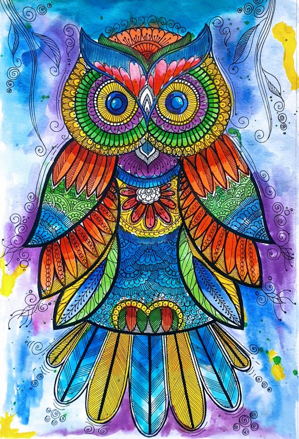 The Enchanted  Owl